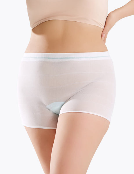 Mesh Underwear Postpartum 10 Pack Recovery Female Incontinence Protective  Panties for Women, White-4pack, M price in Saudi Arabia,  Saudi  Arabia